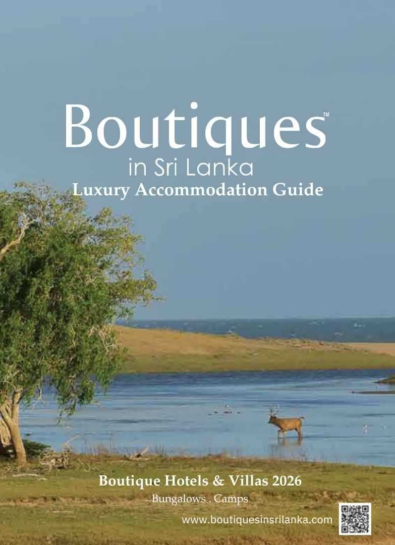 Luxury Accomodation Guide